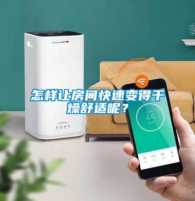 怎样让房间快速变得干燥舒适呢？