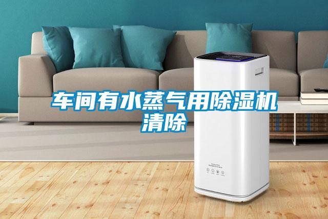 车间有水蒸气用麻豆视频黄网站清除