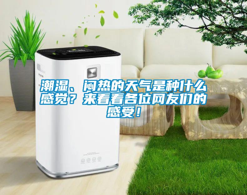 潮湿、闷热的天气是种什么感觉？来看看各位网友们的感受！