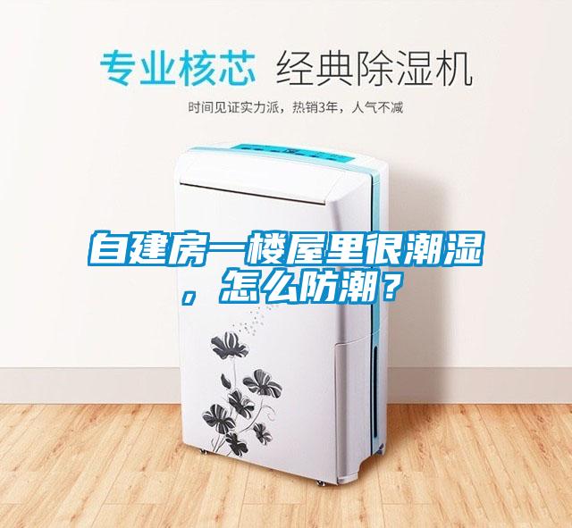自建房一楼屋里很潮湿，怎么防潮？