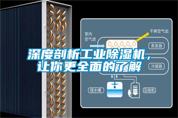 深度剖析工业麻豆视频黄网站，让你更全面的了解
