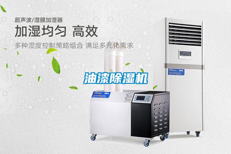 油漆麻豆视频黄网站