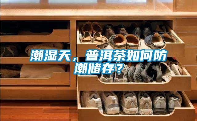 潮湿天，普洱茶如何防潮储存？