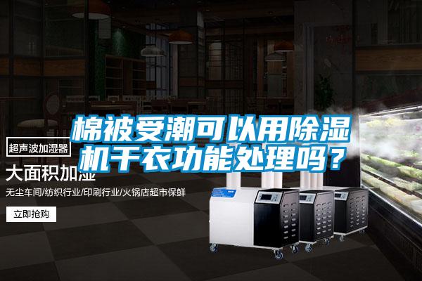 棉被受潮可以用麻豆视频黄网站干衣功能处理吗？