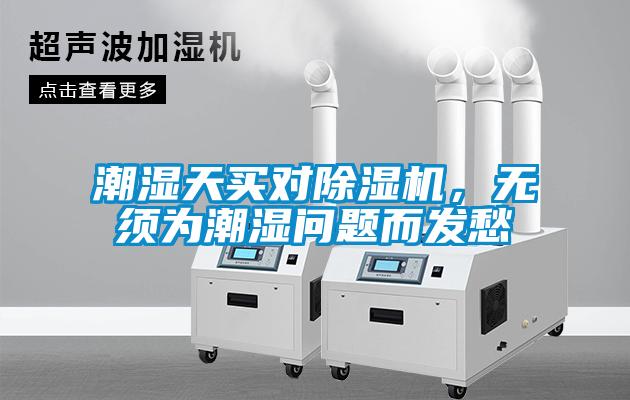 潮湿天买对麻豆视频黄网站，无须为潮湿问题而发愁
