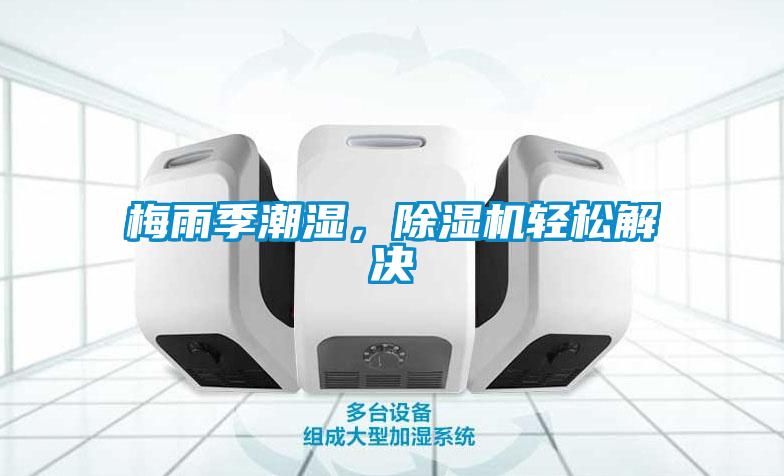梅雨季潮湿，麻豆视频黄网站轻松解决