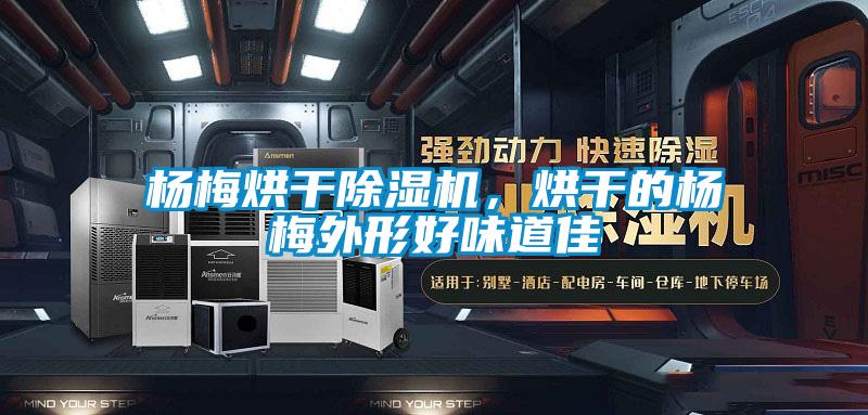 杨梅烘干麻豆视频黄网站，烘干的杨梅外形好味道佳