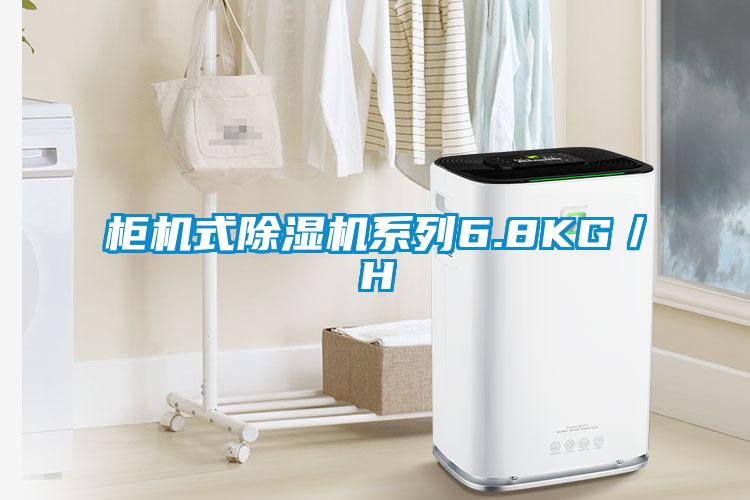 柜机式麻豆视频黄网站系列6.8KG／H