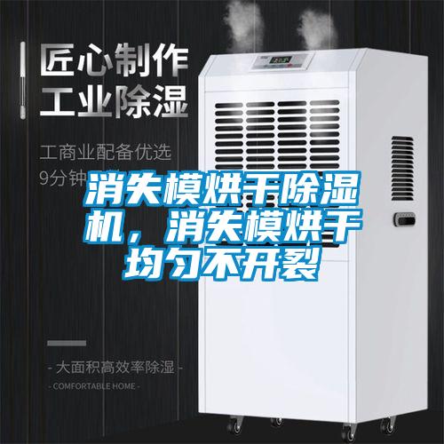 消失模烘干麻豆视频黄网站，消失模烘干均匀不开裂