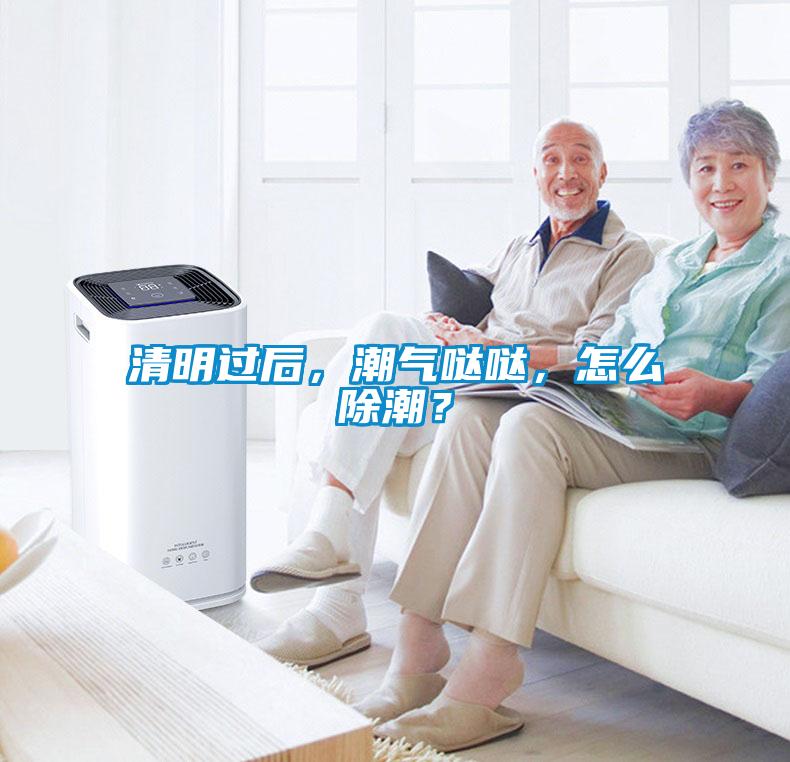 清明过后，潮气哒哒，怎么除潮？