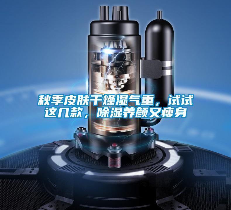 秋季皮肤干燥湿气重，试试这几款，除湿养颜又瘦身
