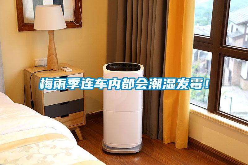 梅雨季连车内都会潮湿发霉！