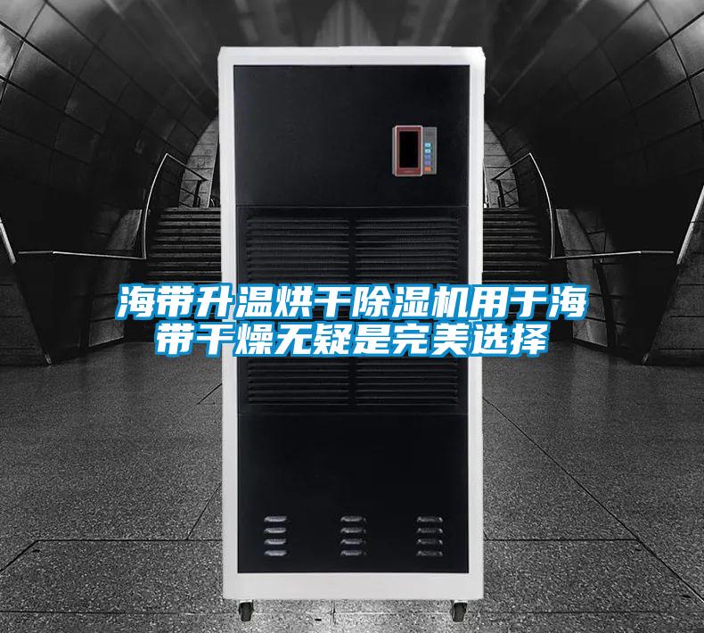海带升温烘干麻豆视频黄网站用于海带干燥无疑是完美选择