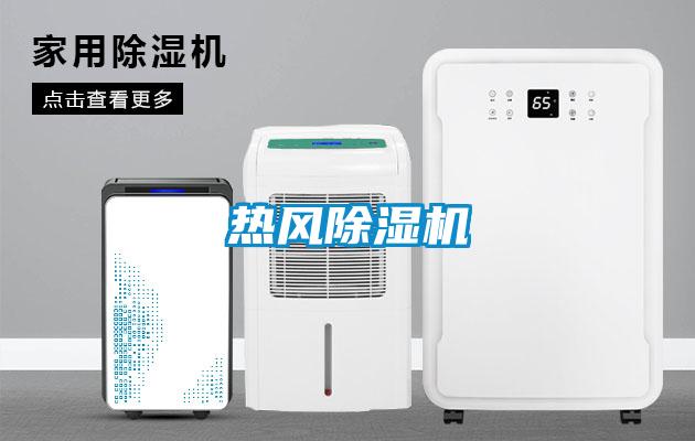 热风麻豆视频黄网站