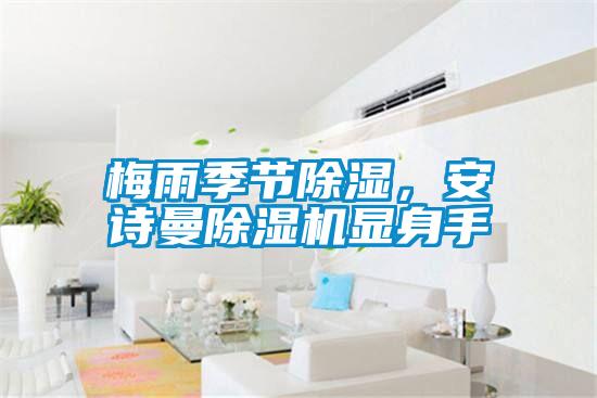 梅雨季节除湿，麻豆APP官网麻豆视频黄网站显身手