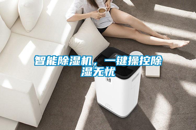 智能麻豆视频黄网站，一键操控除湿无忧