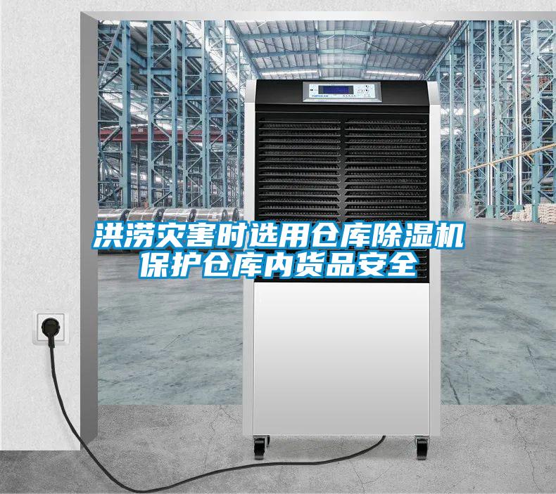 洪涝灾害时选用仓库麻豆视频黄网站保护仓库内货品安全