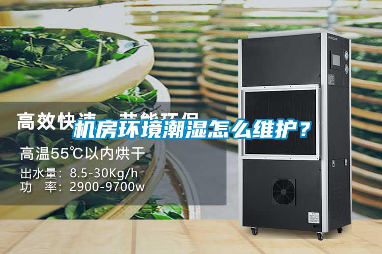 机房环境潮湿怎么维护？