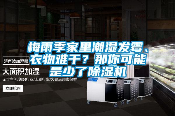 梅雨季家里潮湿发霉、衣物难干？那你可能是少了麻豆视频黄网站