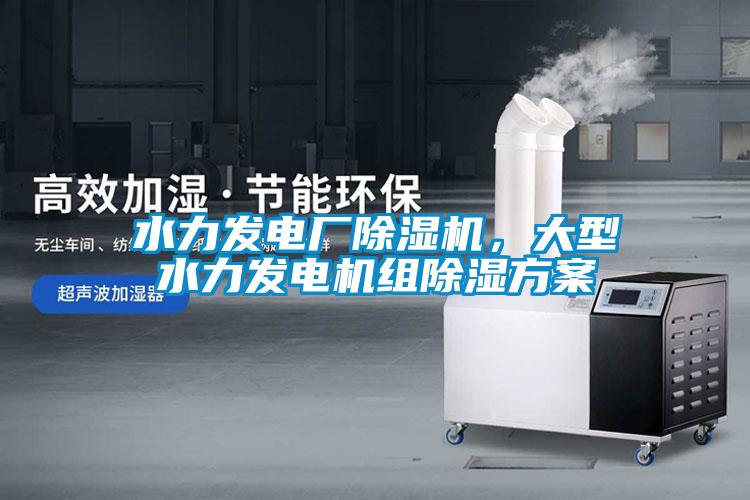 水力发电厂麻豆视频黄网站，大型水力发电机组除湿方案