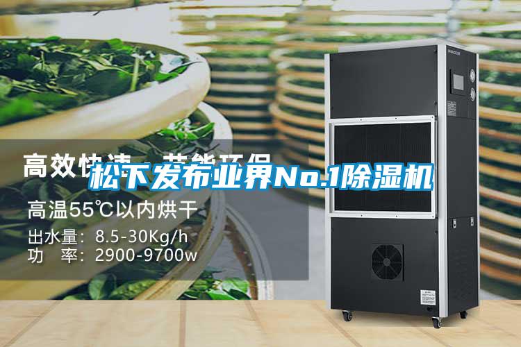 松下发布业界No.1麻豆视频黄网站