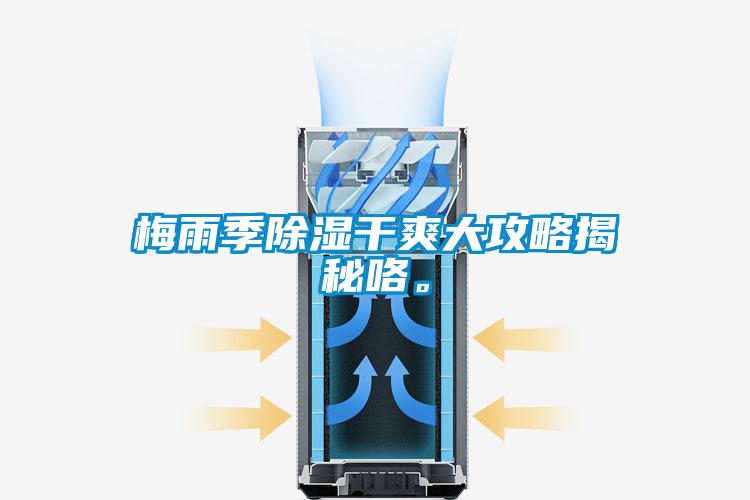 梅雨季除湿干爽大攻略揭秘咯。