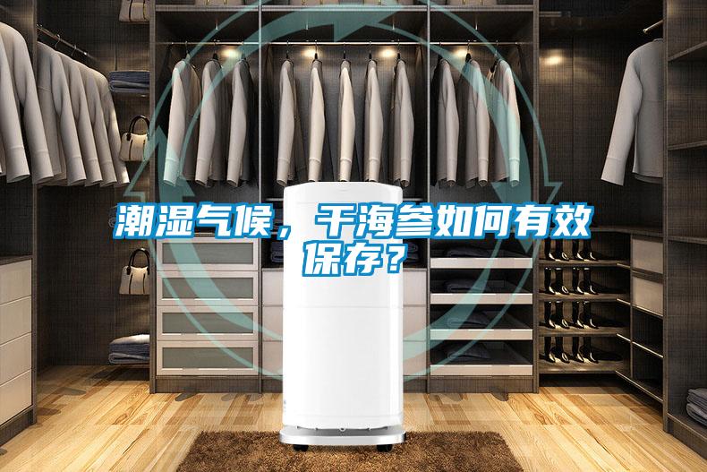 潮湿气候，干海参如何有效保存？