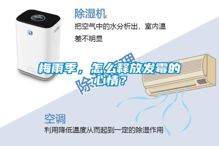 梅雨季，怎么释放发霉的心情？