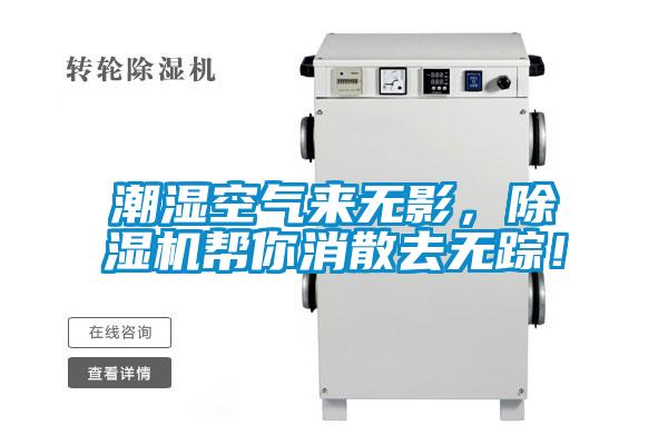 潮湿空气来无影，麻豆视频黄网站帮你消散去无踪！