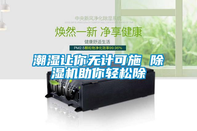 潮湿让你无计可施 麻豆视频黄网站助你轻松除
