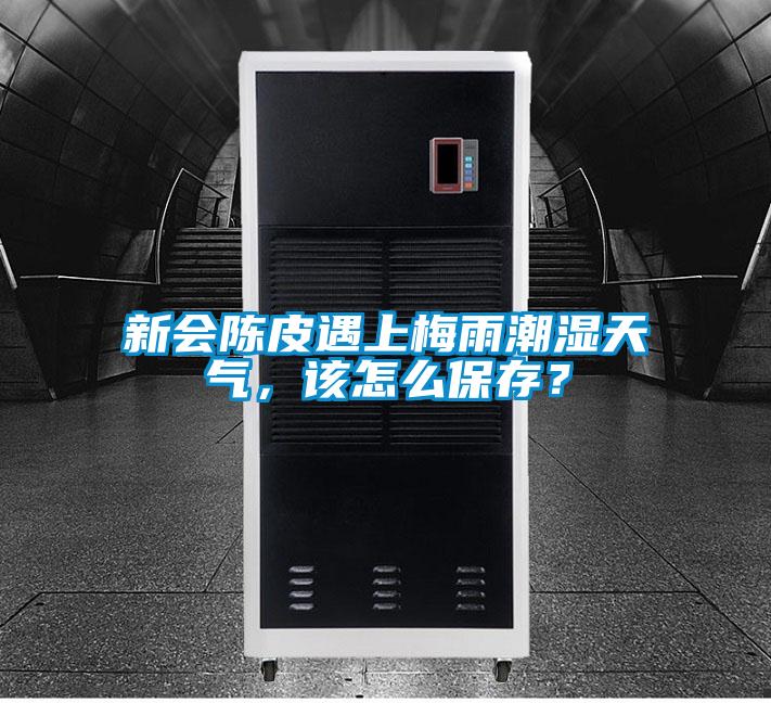新会陈皮遇上梅雨潮湿天气，该怎么保存？