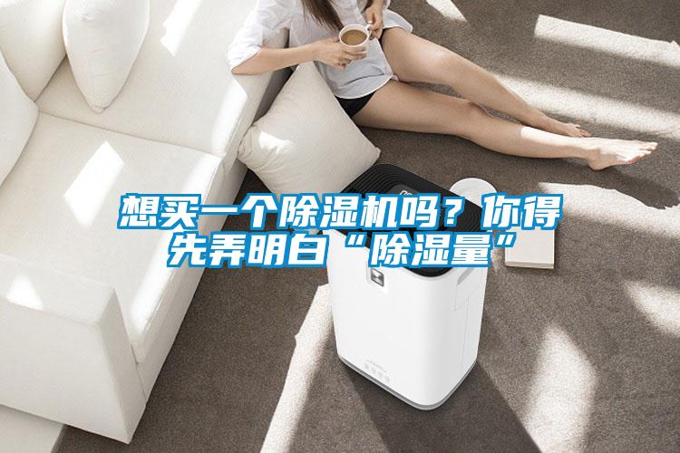 想买一个麻豆视频黄网站吗？你得先弄明白“除湿量”