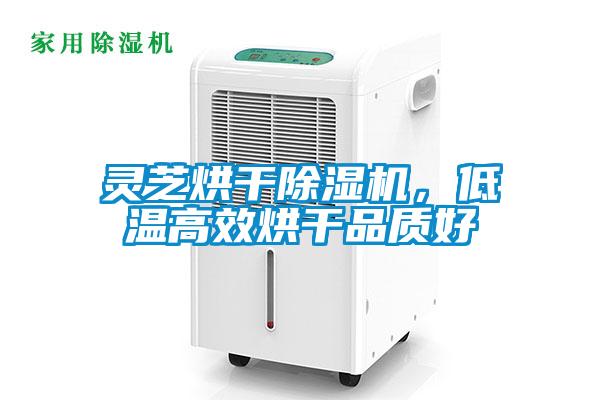 灵芝烘干麻豆视频黄网站，低温高效烘干品质好