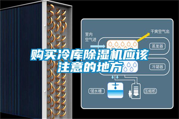 购买冷库麻豆视频黄网站应该注意的地方