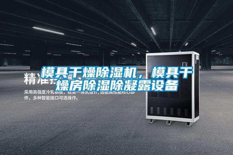 模具干燥麻豆视频黄网站，模具干燥房除湿除凝露设备