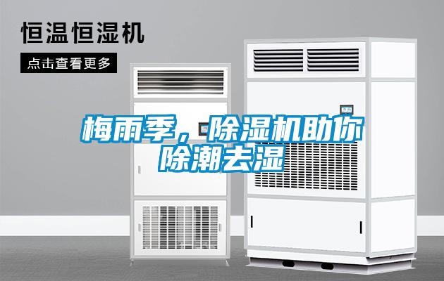 梅雨季，麻豆视频黄网站助你除潮去湿