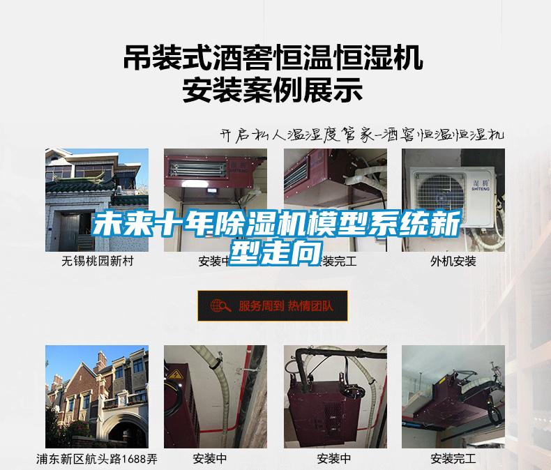 未来十年麻豆视频黄网站模型系统新型走向
