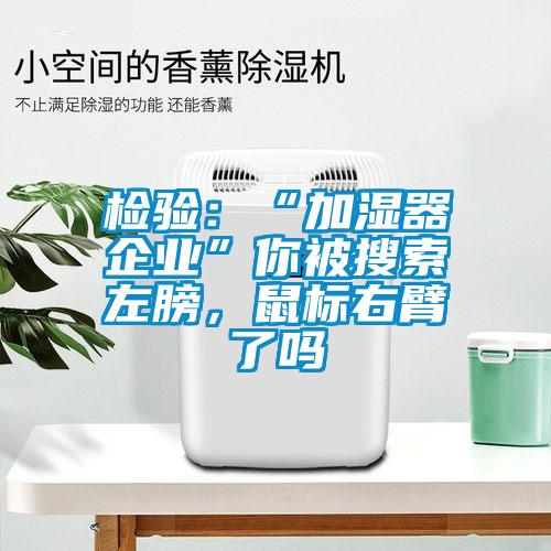 检验：“加湿器企业”你被搜索左膀，鼠标右臂了吗
