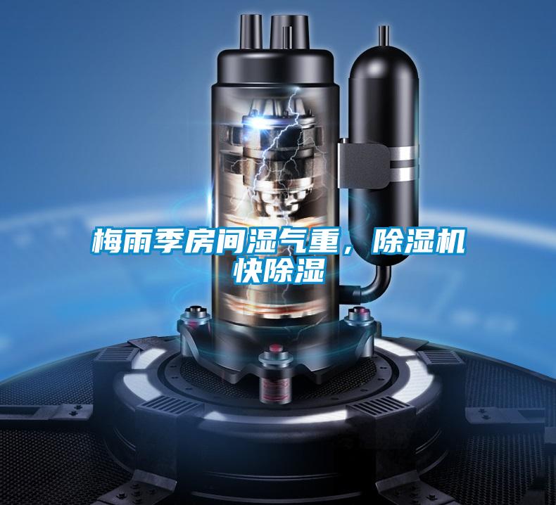 梅雨季房间湿气重，麻豆视频黄网站快除湿