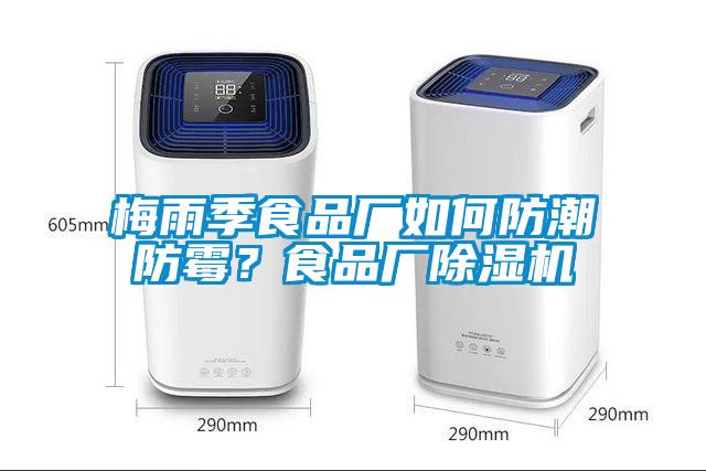 梅雨季食品厂如何防潮防霉？食品厂麻豆视频黄网站