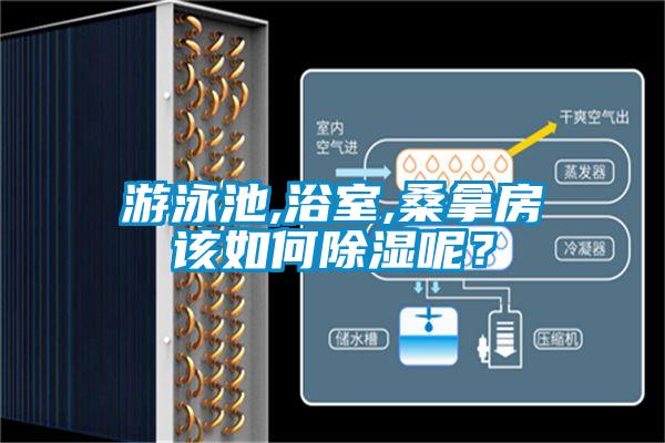游泳池,浴室,桑拿房该如何除湿呢？