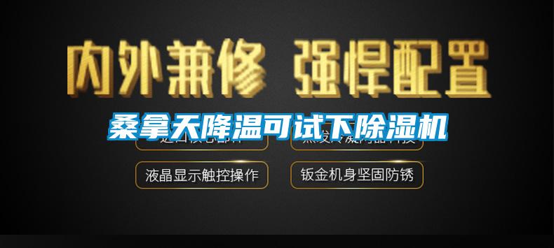 桑拿天降温可试下麻豆视频黄网站