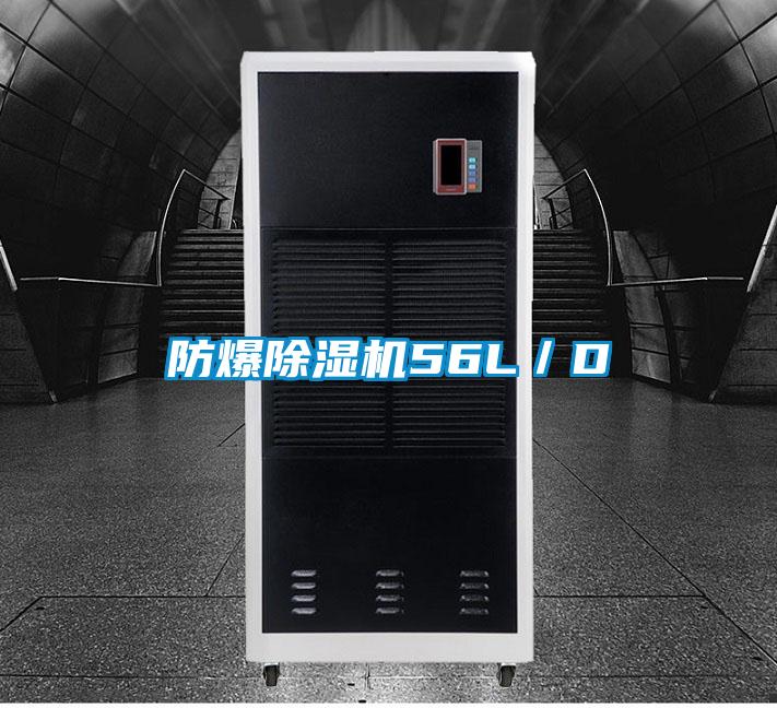 防爆麻豆视频黄网站56L／D