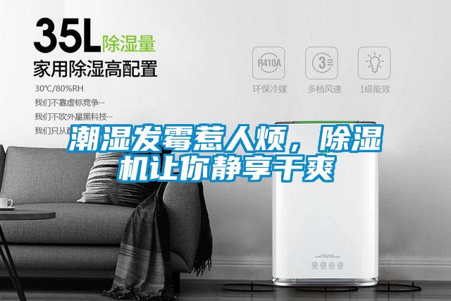 潮湿发霉惹人烦，麻豆视频黄网站让你静享干爽