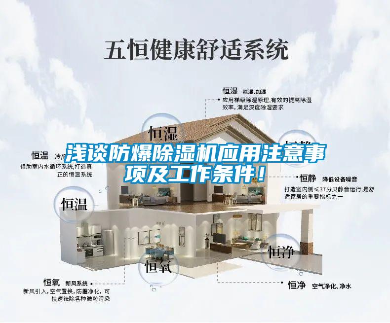 浅谈防爆麻豆视频黄网站应用注意事项及工作条件！