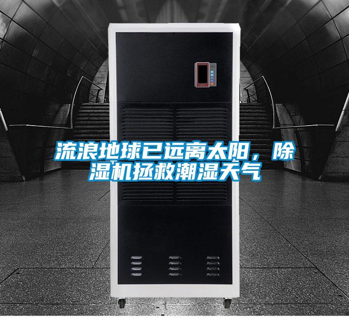 流浪地球已远离太阳，麻豆视频黄网站拯救潮湿天气