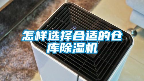 怎样选择合适的仓库麻豆视频黄网站