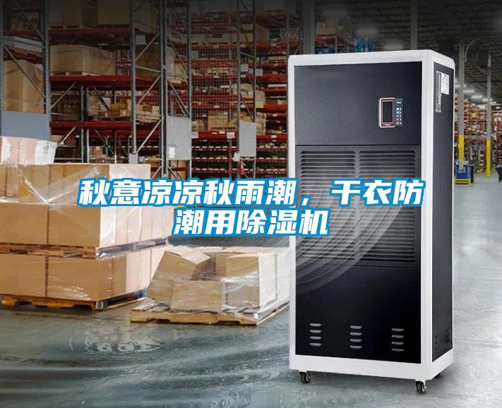 秋意凉凉秋雨潮，干衣防潮用麻豆视频黄网站