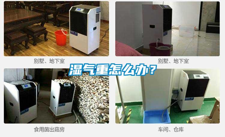湿气重怎么办？