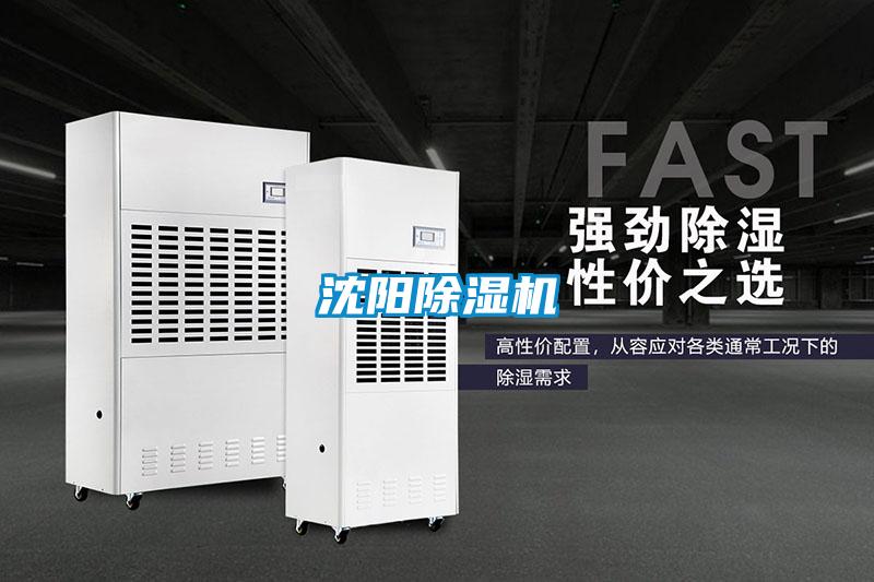 沈阳麻豆视频黄网站
